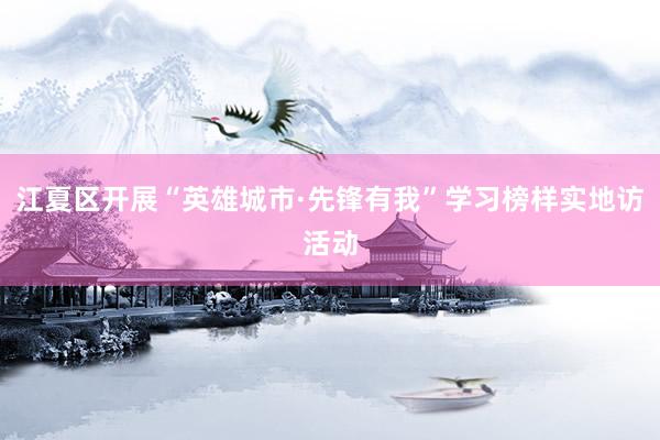 江夏区开展“英雄城市·先锋有我”学习榜样实地访活动