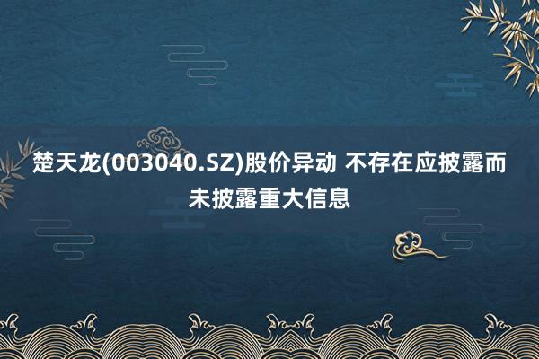 楚天龙(003040.SZ)股价异动 不存在应披露而未披露重大信息