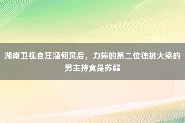 湖南卫视自汪涵何炅后，力捧的第二位独挑大梁的男主持竟是苏醒