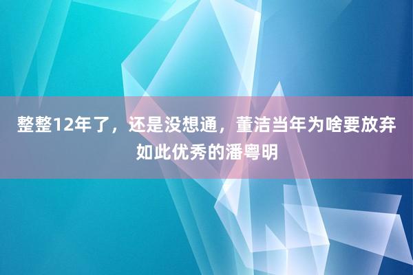 整整12年了，还是没想通，董洁当年为啥要放弃如此优秀的潘粤明