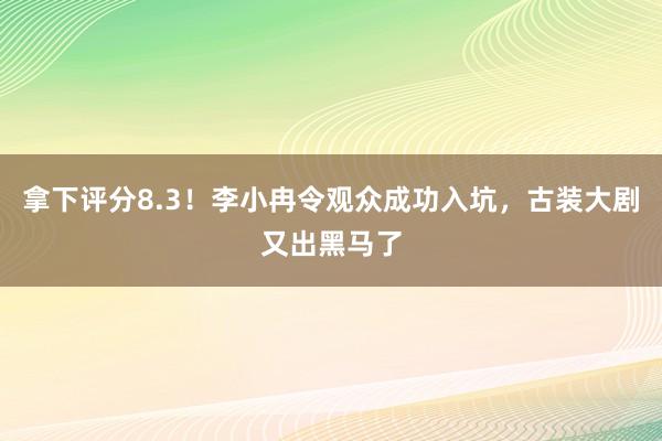 拿下评分8.3！李小冉令观众成功入坑，古装大剧又出黑马了