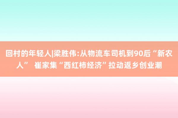 回村的年轻人|梁胜伟:从物流车司机到90后“新农人”  崔家集“西红柿经济”拉动返乡创业潮