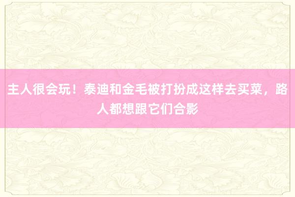 主人很会玩！泰迪和金毛被打扮成这样去买菜，路人都想跟它们合影