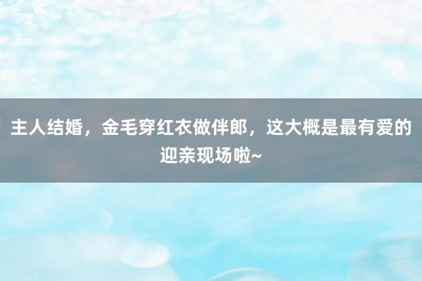 主人结婚，金毛穿红衣做伴郎，这大概是最有爱的迎亲现场啦~