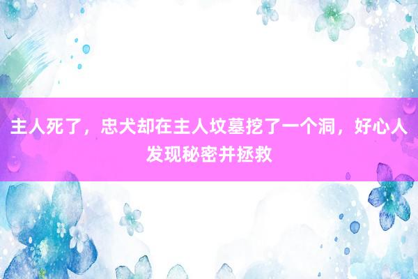 主人死了，忠犬却在主人坟墓挖了一个洞，好心人发现秘密并拯救