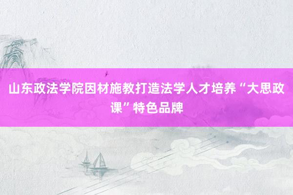 山东政法学院因材施教打造法学人才培养“大思政课”特色品牌