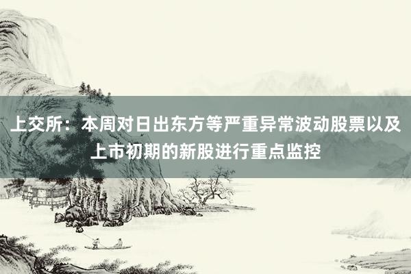 上交所：本周对日出东方等严重异常波动股票以及上市初期的新股进行重点监控