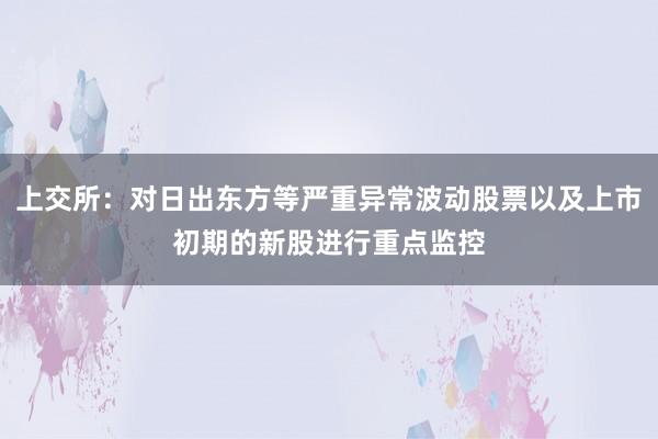 上交所：对日出东方等严重异常波动股票以及上市初期的新股进行重点监控