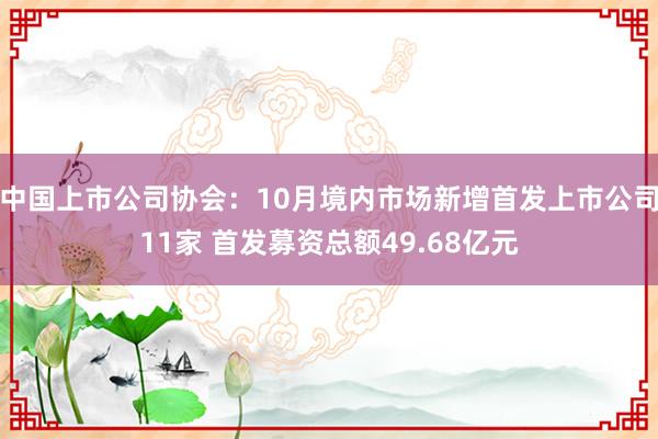 中国上市公司协会：10月境内市场新增首发上市公司11家 首发募资总额49.68亿元