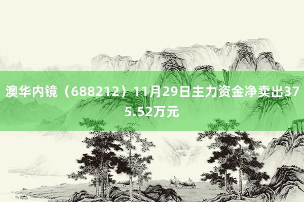 澳华内镜（688212）11月29日主力资金净卖出375.52万元