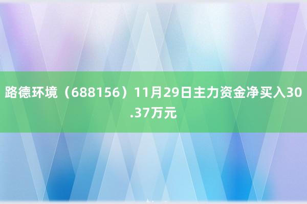 路德环境（688156）11月29日主力资金净买入30.37万元