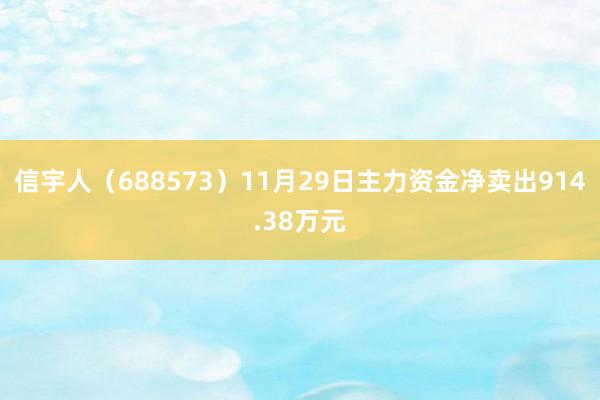 信宇人（688573）11月29日主力资金净卖出914.38万元