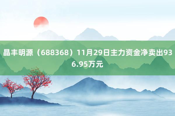 晶丰明源（688368）11月29日主力资金净卖出936.95万元