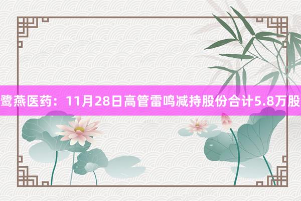 鹭燕医药：11月28日高管雷鸣减持股份合计5.8万股