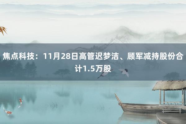 焦点科技：11月28日高管迟梦洁、顾军减持股份合计1.5万股