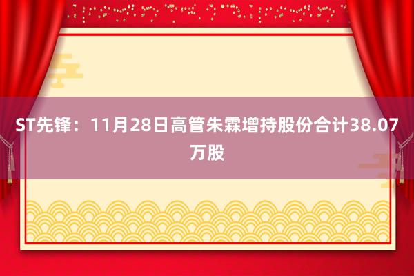 ST先锋：11月28日高管朱霖增持股份合计38.07万股