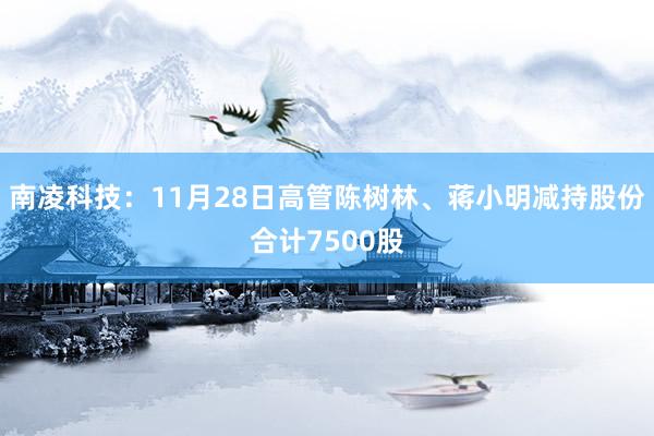 南凌科技：11月28日高管陈树林、蒋小明减持股份合计7500股