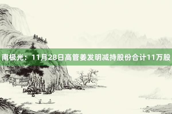 南极光：11月28日高管姜发明减持股份合计11万股