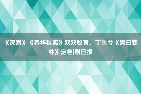 《深潜》《春华秋实》双双收官，丁禹兮《黑白森林》定档|剧日报