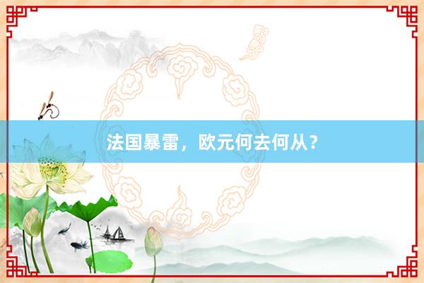 法国暴雷，欧元何去何从？