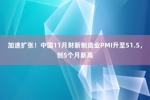 加速扩张！中国11月财新制造业PMI升至51.5，创5个月新高