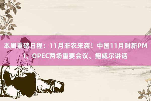 本周重磅日程：11月非农来袭！中国11月财新PMI、OPEC两场重要会议、鲍威尔讲话