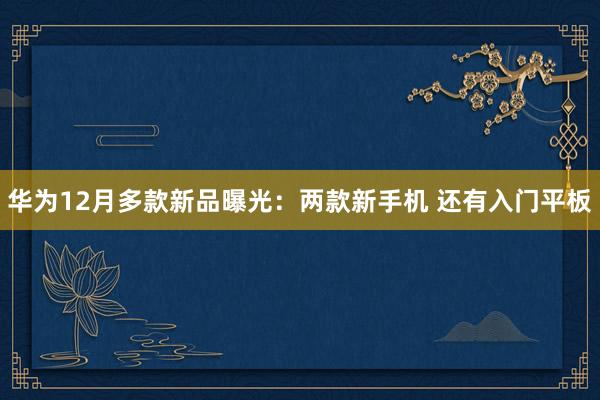 华为12月多款新品曝光：两款新手机 还有入门平板