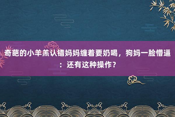 奇葩的小羊羔认错妈妈缠着要奶喝，狗妈一脸懵逼：还有这种操作？