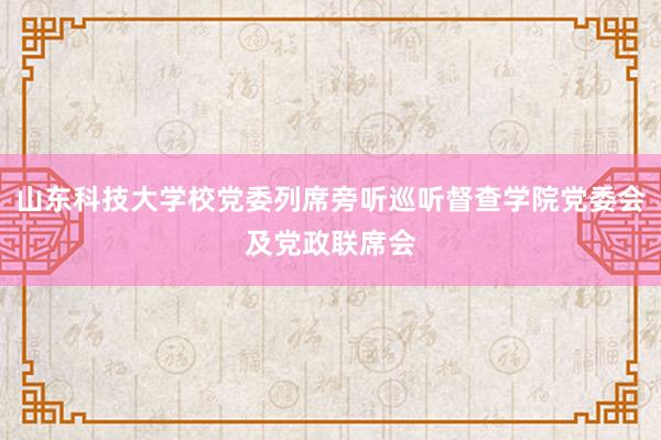 山东科技大学校党委列席旁听巡听督查学院党委会及党政联席会