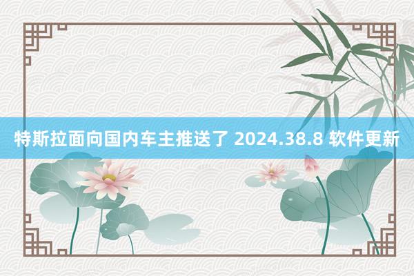 特斯拉面向国内车主推送了 2024.38.8 软件更新