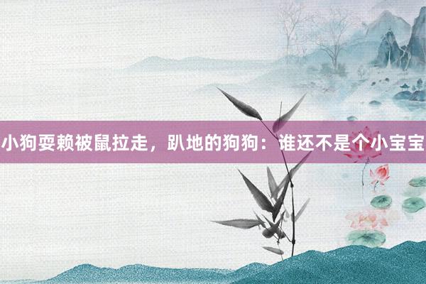 小狗耍赖被鼠拉走，趴地的狗狗：谁还不是个小宝宝