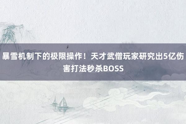 暴雪机制下的极限操作！天才武僧玩家研究出5亿伤害打法秒杀BOSS