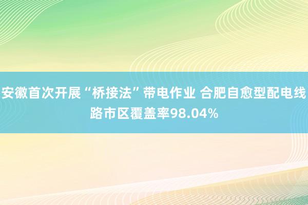 安徽首次开展“桥接法”带电作业 合肥自愈型配电线路市区覆盖率98.04%