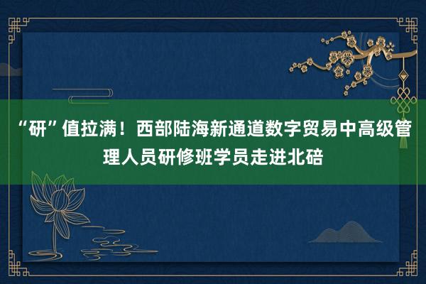 “研”值拉满！西部陆海新通道数字贸易中高级管理人员研修班学员走进北碚