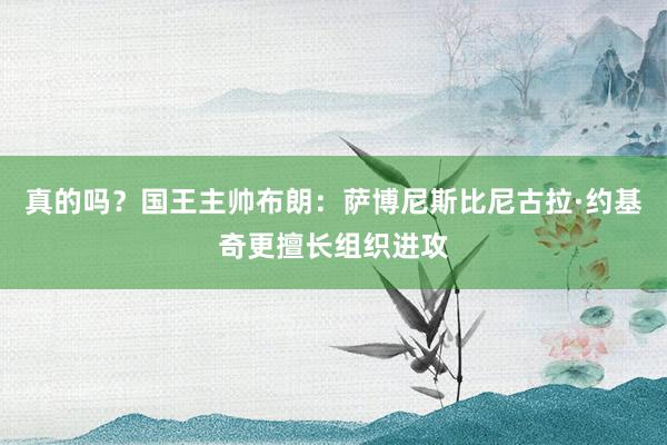 真的吗？国王主帅布朗：萨博尼斯比尼古拉·约基奇更擅长组织进攻