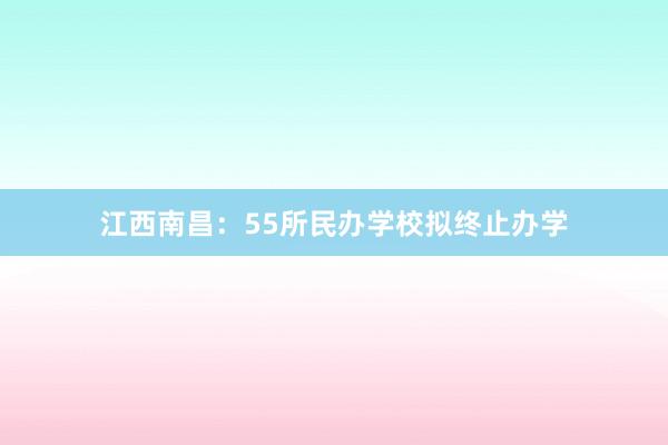 江西南昌：55所民办学校拟终止办学