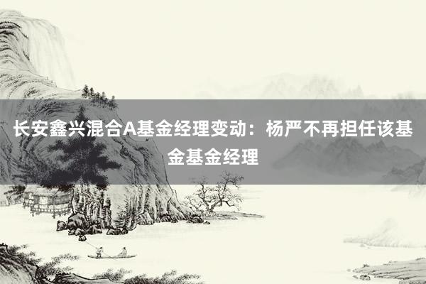 长安鑫兴混合A基金经理变动：杨严不再担任该基金基金经理