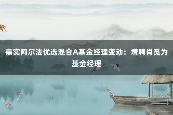 嘉实阿尔法优选混合A基金经理变动：增聘肖觅为基金经理