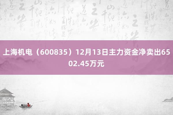 上海机电（600835）12月13日主力资金净卖出6502.45万元