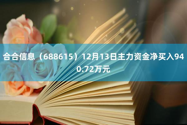 合合信息（688615）12月13日主力资金净买入940.72万元