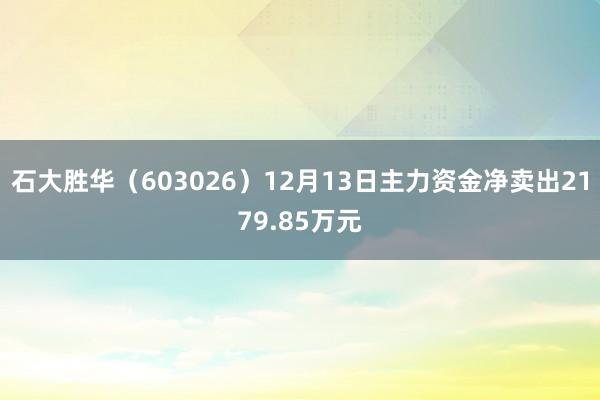 石大胜华（603026）12月13日主力资金净卖出2179.85万元