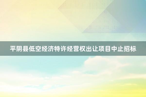 平阴县低空经济特许经营权出让项目中止招标