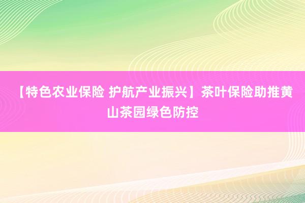 【特色农业保险 护航产业振兴】茶叶保险助推黄山茶园绿色防控