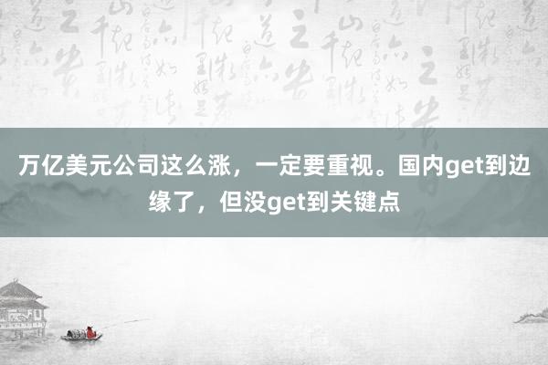 万亿美元公司这么涨，一定要重视。国内get到边缘了，但没get到关键点