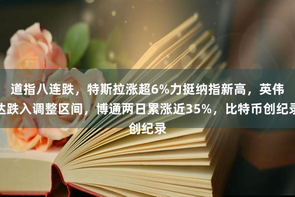 道指八连跌，特斯拉涨超6%力挺纳指新高，英伟达跌入调整区间，博通两日累涨近35%，比特币创纪录