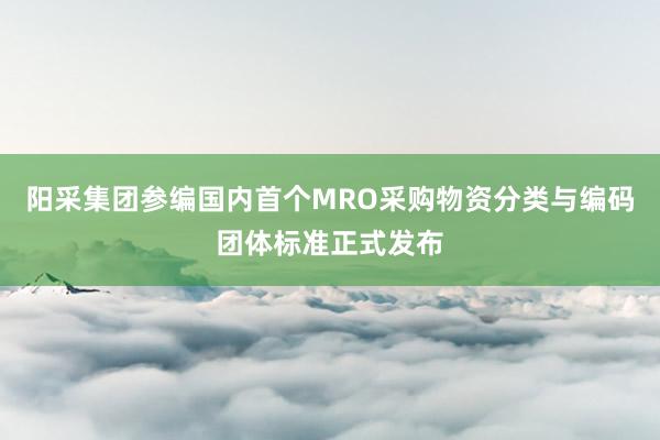 阳采集团参编国内首个MRO采购物资分类与编码团体标准正式发布