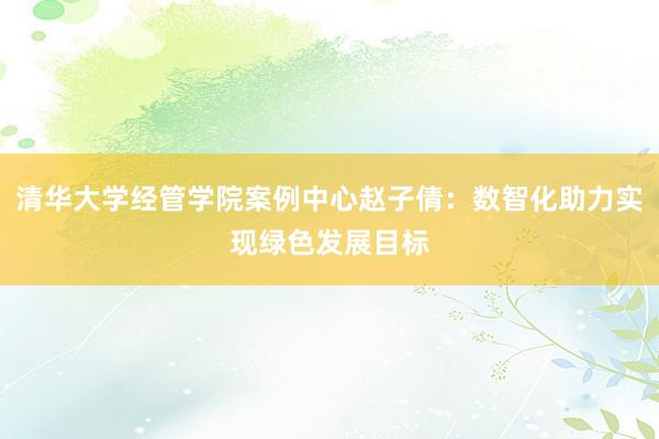 清华大学经管学院案例中心赵子倩：数智化助力实现绿色发展目标