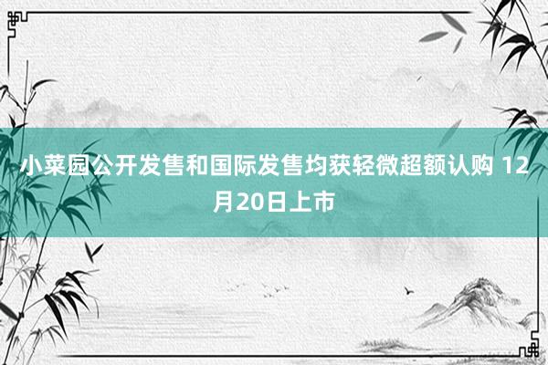 小菜园公开发售和国际发售均获轻微超额认购 12月20日上市