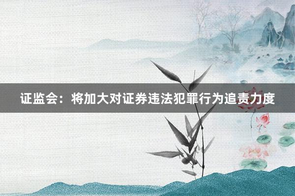 证监会：将加大对证券违法犯罪行为追责力度